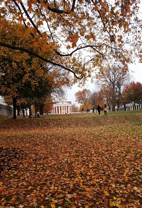 Pin by moth on season | fall in 2024 | Autumn aesthetic, Outdoor, Uva