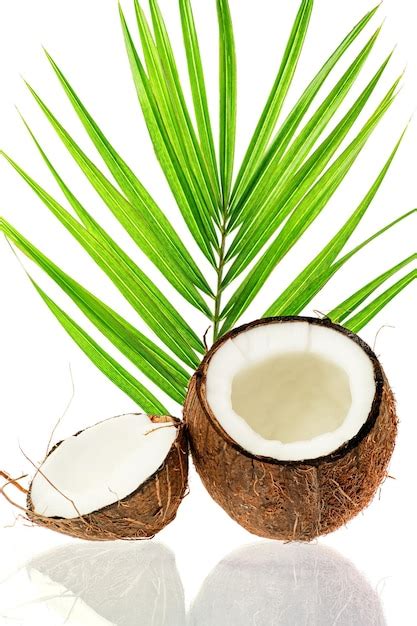 Premium Photo Coconut Slice Coco Pieces Isolated On White Coconut