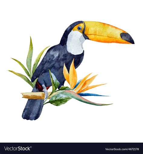 Beautiful Vector Image With Nice Watercolor Toucan With Flowers