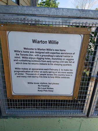 Wiarton Willie Statue - All You Need to Know BEFORE You Go - Updated ...