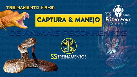 CURSO DE CAPTURA MANEJO DE ANIMAIS PEÇONHENTOS YouTube