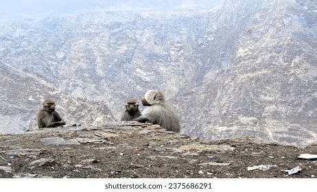 Beautiful Abha City Saudi Arabia Stock Photo 2375686293 | Shutterstock