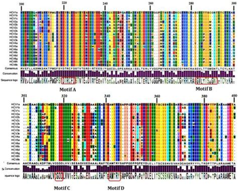 Multiple Sequence Alignment Of The Rdrp Sequences Of 6 Different