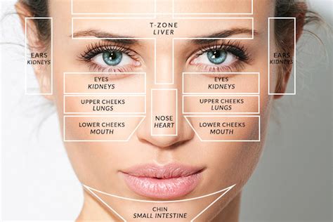 Face Mapping What Your Face Is Telling You About Your Health