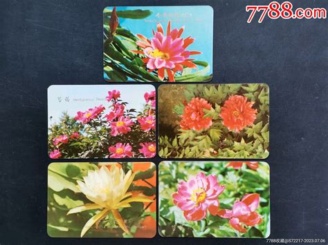 1975年花卉年历片一套5张 价格7元 Se94920381 年历卡片 零售 7788收藏收藏热线