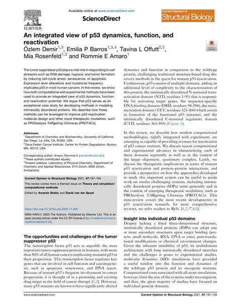 Pdf An Integrated View Of P Dynamics Function And Reactivation