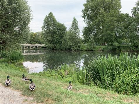 Vie Locale Mairie De Samois Sur Seine