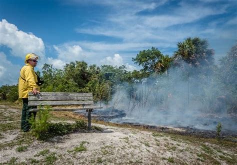 Prescribed Fire Sanibel Captiva Conservation Foundation