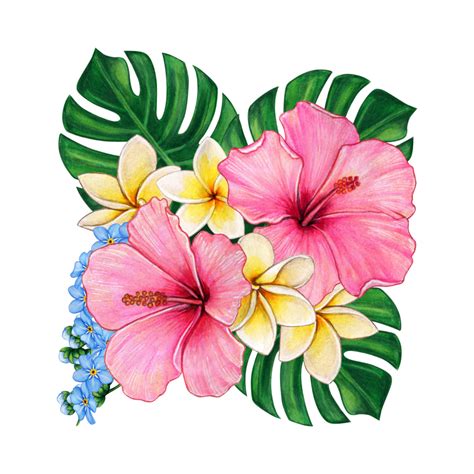 Desenhos De Flores Png