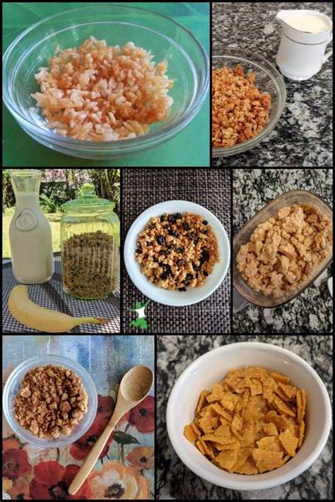 7 Homemade Cold Cereal Recipes | Healthy Home Economist