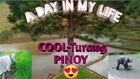 A Day In My Life Buhay Probinsya Pagtatanim Ng Palay YouTube