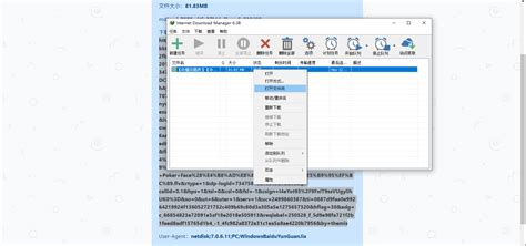 最新电脑端 5ms【百度网盘不限速下载】kinhdown网页解析idm多线程下载（20201113） 哔哩哔哩