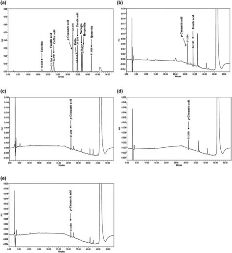 Hplc Chromatograms A Mixture Solution Of Phenolic Compounds B