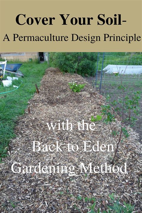 Achieving A Permaculture Design Principle With The Back To Eden