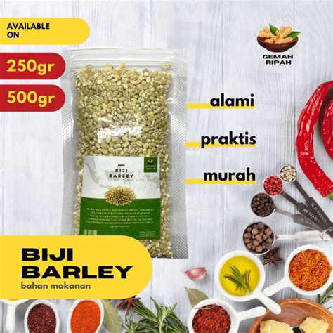 Jual Biji Barley Kering 250gram 500gram 1kg Biji Barley Tea Jalijali