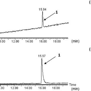 Lc Pda Ms Analysis Of Sheet B Pda Chromatogram A Tic B And Uv