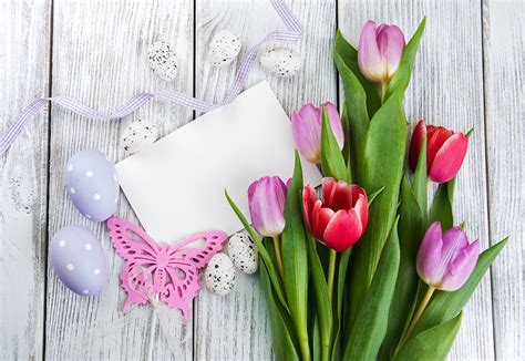 Picture Easter Sheet Of Paper Egg Tulips Flowers Template Greeting