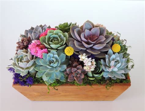 Succulent Arrangement With A Vatiety Of Colorful Succulents