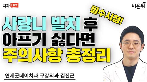 사랑니 발치 후에도 출혈이 멈추지 않는 4가지 이유 빗속의 여인