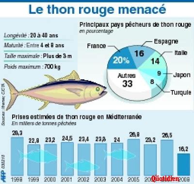 En suivant l expédition TARA Le thon rouge va t il disparaître une