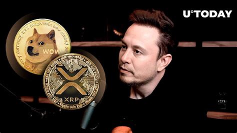 ELON MUSK IMPATTO SULLE CRIPTO