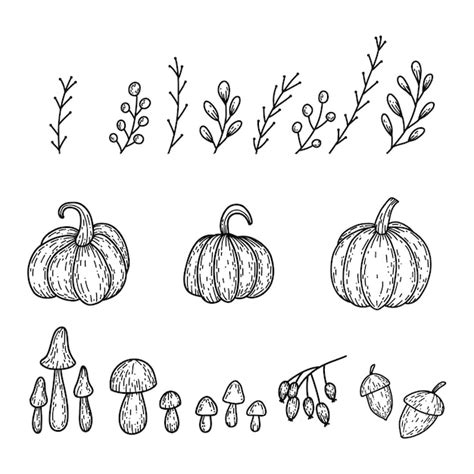 Premium Vector Set Of Pumpkin Branches Mushroom Rose Hip Acorn In