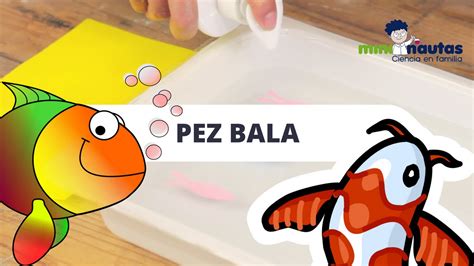 Vídeo mini nautas El pez bala Experimentos de ciencia YouTube