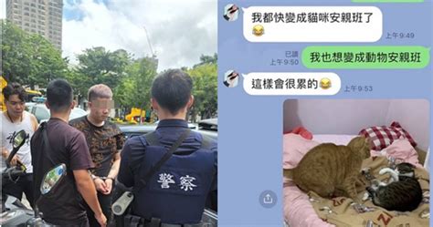 惡狼虐貓1／毒鴛鴦虐死貓咪10餘隻 無主項圈塞滿泡菜罐 社會 Ctwant