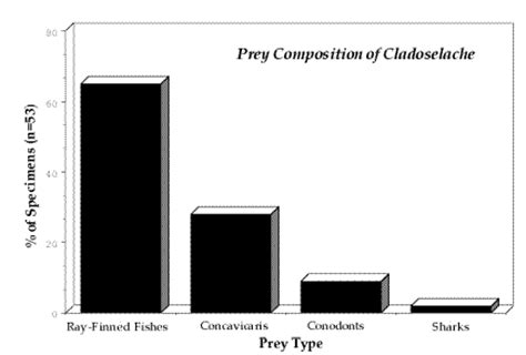 Feeding Habits of Cladoselache