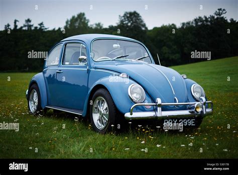 Volkswagen Beetle Light Blue