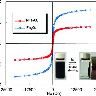 Typical Magnetic Hysteresis Loops Of Hydrophilic Fe O And T Fe O