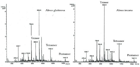 Tof Ms Spectra Of Cts From Alnus Glutinosa And Alnus Incana Bark