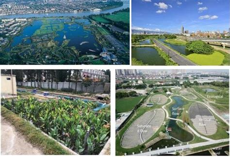 shows different examples of constructed wetlands inside urban cities ...