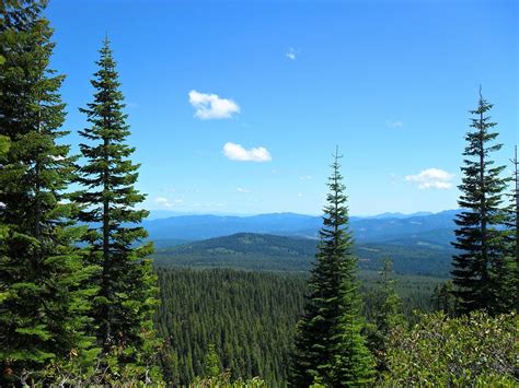 Forest Sky Green Blue Hills Free Image From Needpix