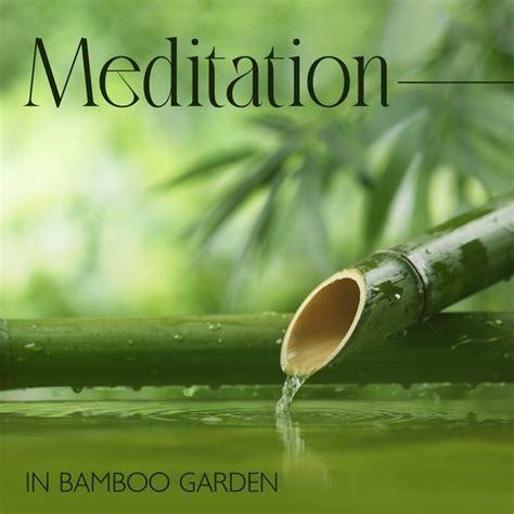 Meditation In Bamboo Garden Relaxing Asian Flutes Tibetan Singing