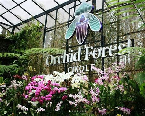 Orchid Forest Cikole Lembang Wahana Lokasi Dan Harga Tiket Masuk Juli