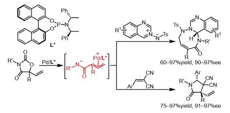 中国农业大学理学院 教科成果 理学院郭红超课题组在钯催化不对称环加成反应研究中取得新进展