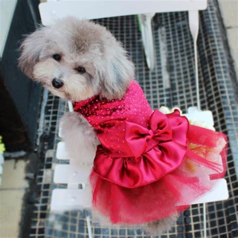 Wedding Dresses For Dogs Dog Dresses Oh My Glad