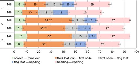 Developmental Phase Duration Of NILs With Dominant Alleles Of VRN A1