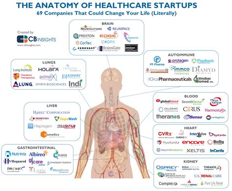 The Anatomy of Healthcare Startups: 69 Companies In Patient Treatment