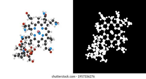 Chemical Structure Vitamin B12 Cyanocobalamin Formula Stock Illustration 1957336276 Shutterstock