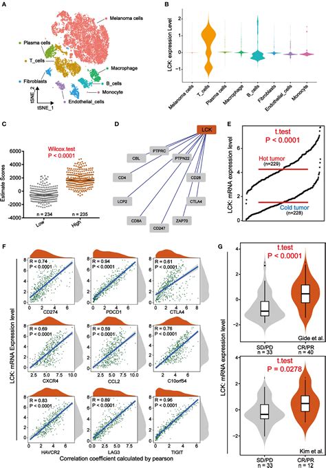 Frontiers Molecular Profiling Of Core Immune Escape Genes Highlights