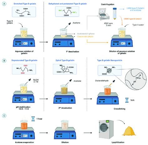 Schematic For The Synthesis Of Type B Gelatin NPs GNPs By A Two Step