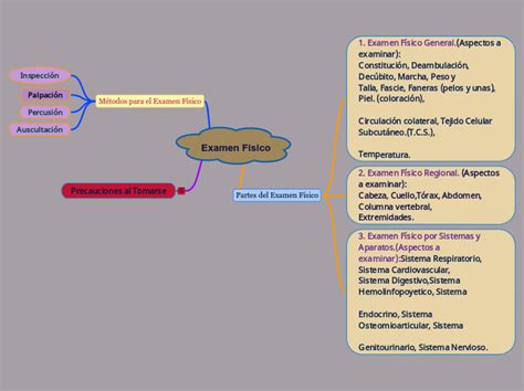 Examen Físico Mind Map