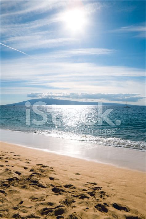 Lahaina Maui Hawaii Palm Tree Lined Beach Landscape Stock Photo ...