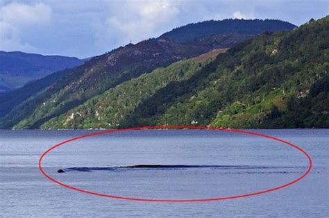 Descubrimos El Escondite Del Monstruo Del Lago Ness