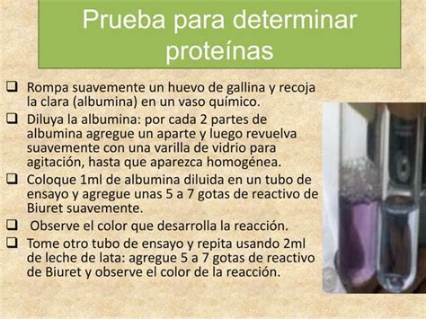 Biomoleculas Ppt