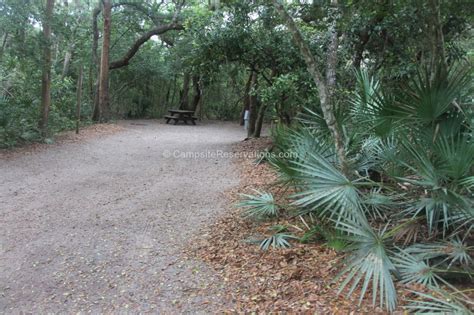 Campsite 007 In Anastasia State Park Campground At Anastasia State Park