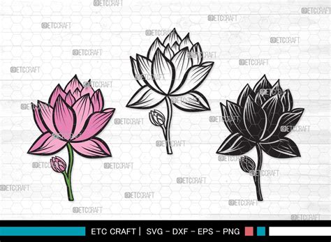 Lotus Flower Svg Cut Files Lotus Flower Svg Floral Svg Lotus Flower Clipart So Fontsy