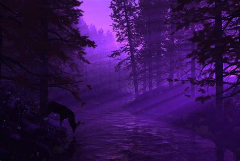 Fondo Pantalla Noche Bosque Purple Aesthetic Violet Aesthetic